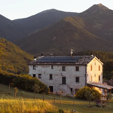 Tenuta Del Picchio Colombara